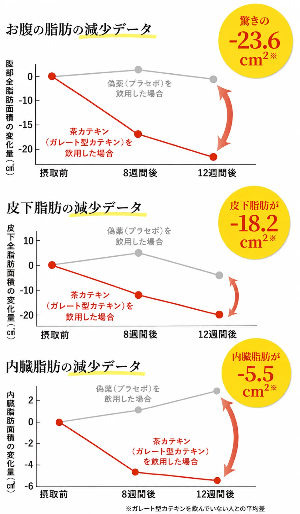 ガレート型カテキンによるお腹の脂肪の減少データ