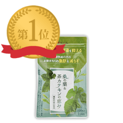 ダイエットサプリランキング1位の商品